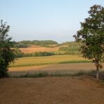 IMG_20250726_204018